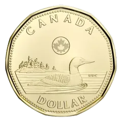 A Canadian one-dollar coin showing a loon on the water.